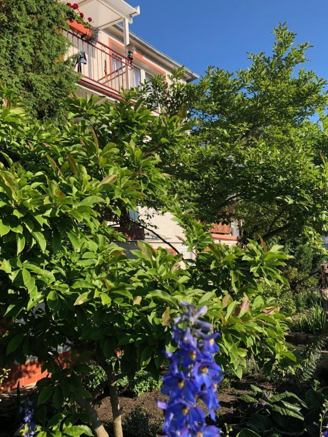 Pensjonat Victoria Hotell Miedzyzdroje Eksteriør bilde